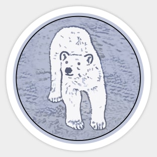 Polar Bear on Ice Sticker